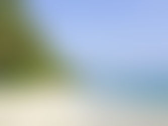 Sunny beach with turquoise water and palm trees on white sand. Clear blue sky. "Tour Times" logo is visible in the top left corner.