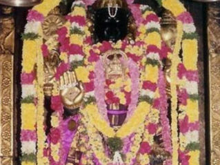 A richly adorned deity statue, draped in pink, yellow, and white floral garlands, stands in a temple setting. "Tour Times" logo at the top.Sri Varadaraja Perumal Temple