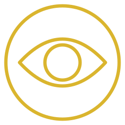 vision.png