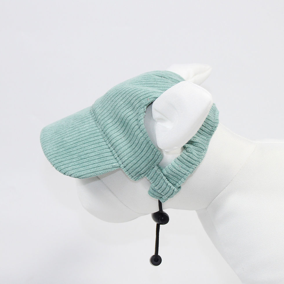Thumbnail: Corduroy pet sun hat