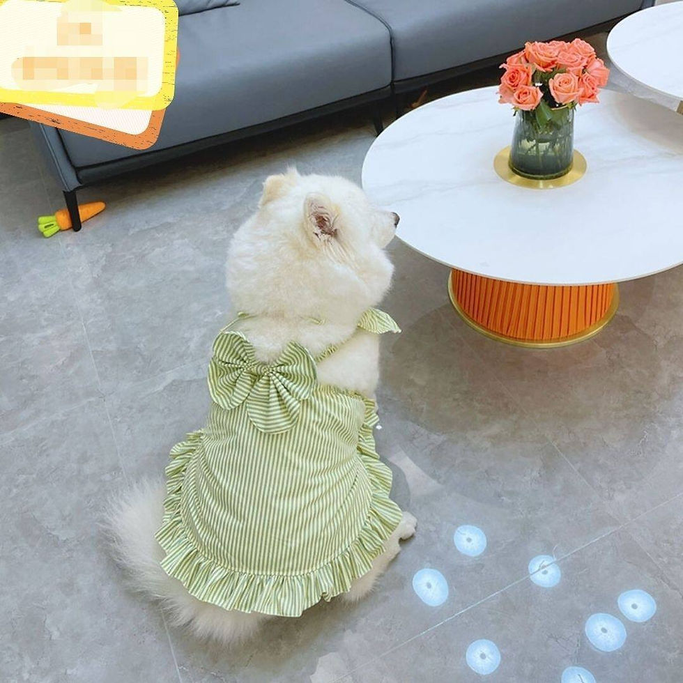 Thumbnail: Dog Dress for Large Breeds Summer Lightweight Princess Style