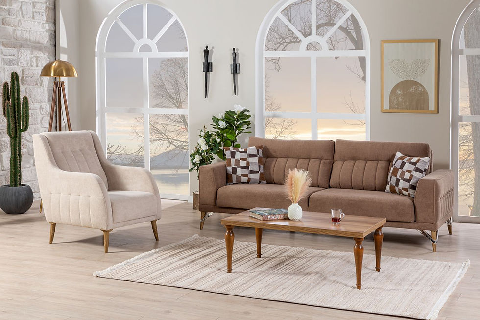 Thumbnail: Yeni Defne Koltuk Takımı