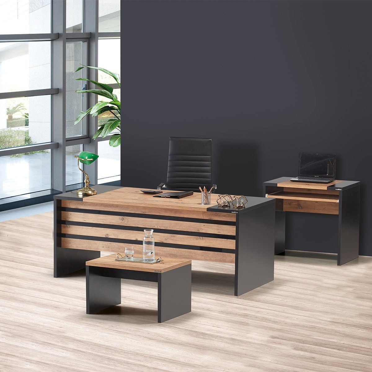 Palmira Yönetici Takımı