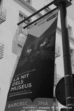 La nit dels museus