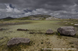 Swamps in front of  Mullaghmoore mountain at Burren national park (Irel