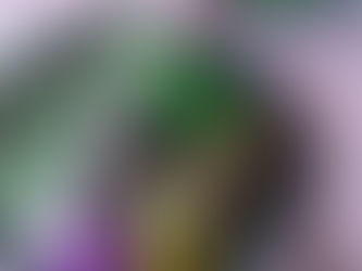 Charred chicken satay bowls