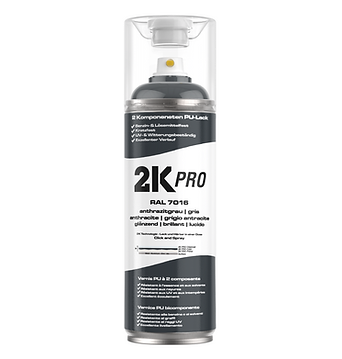 2K Pro Spray paint 250ml & 400ml