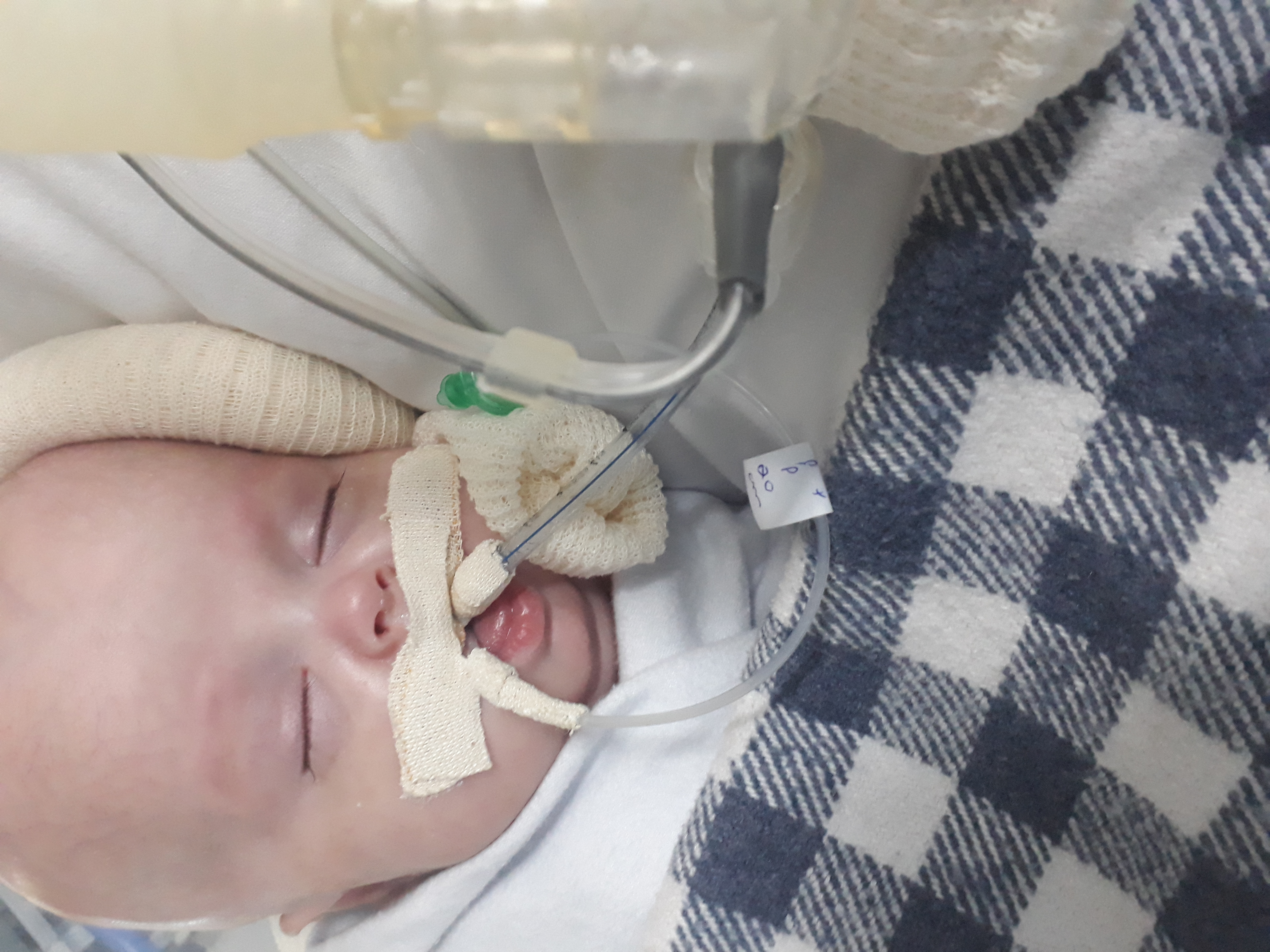 Help the warrior Charles