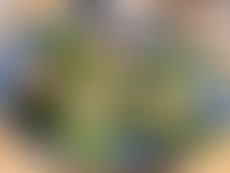 飲ーもーうー。(森高千里風)