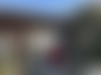 年末は魚介類。