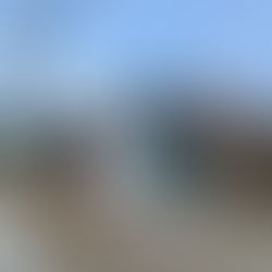 牛の真髄的な部位。V。