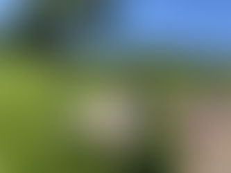 6月活動報告