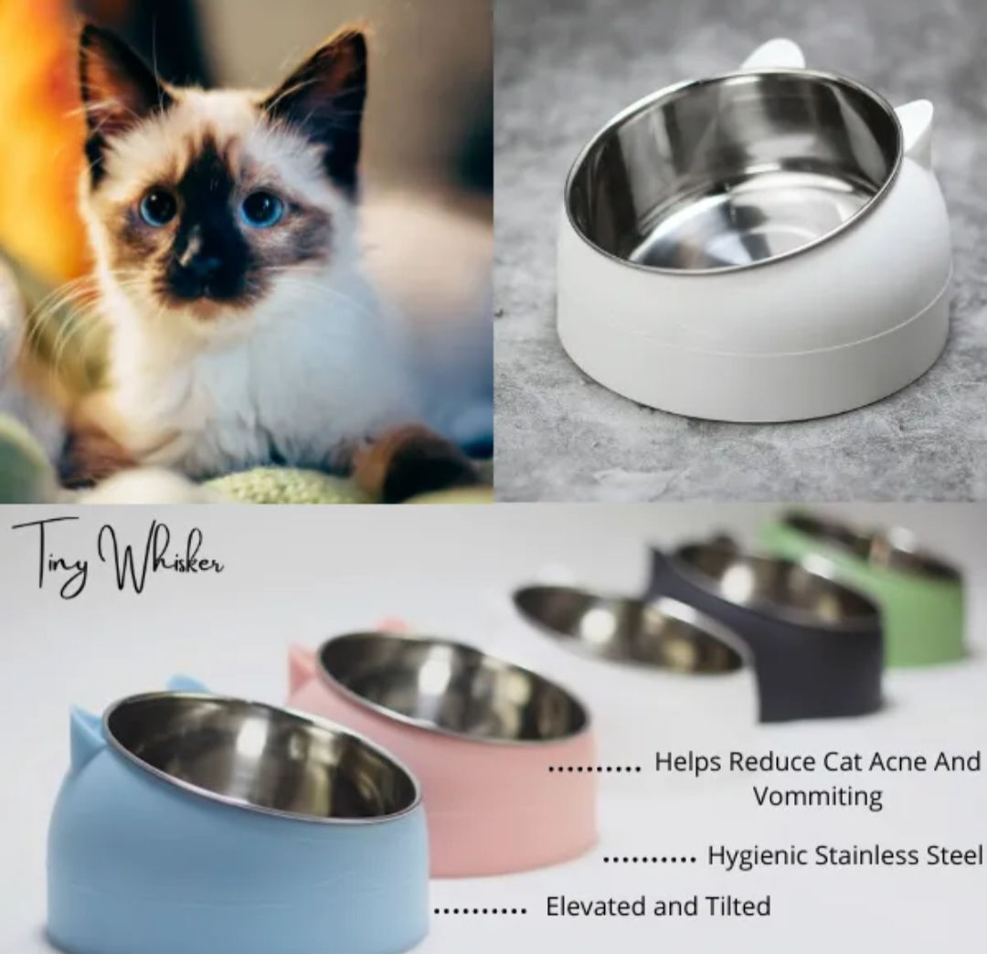 Cute angled bowls