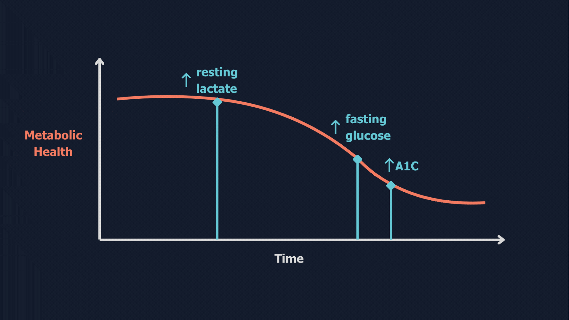 Metabolic health 2 (3).gif