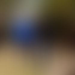 MEISTERSCHÜLER DER KUNSTAKADEMIE DÜSSELDORF ENTWICKELN NEUE WERKE IN SPANIEN