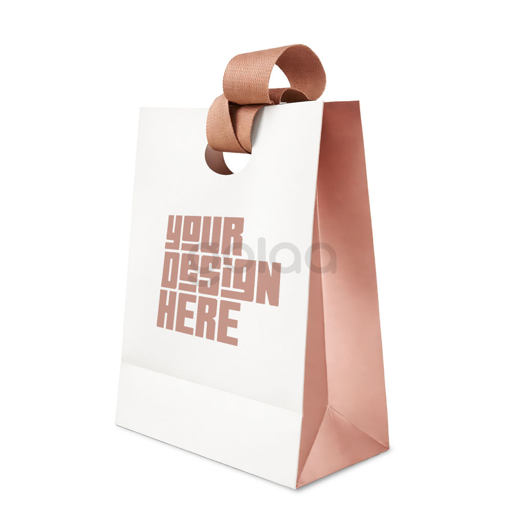 Custom Printed Luxury Paper Gift Bag with Ribbon Handle