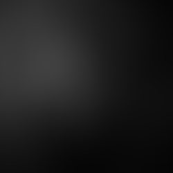 One Year In: What Starting Higgins Beach Marketing Taught Me About Showing Up