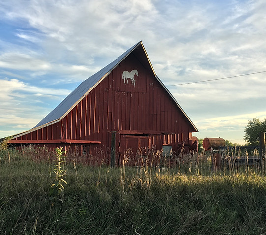 Horse Ranch_edited.jpg