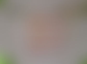 4月スケジュール