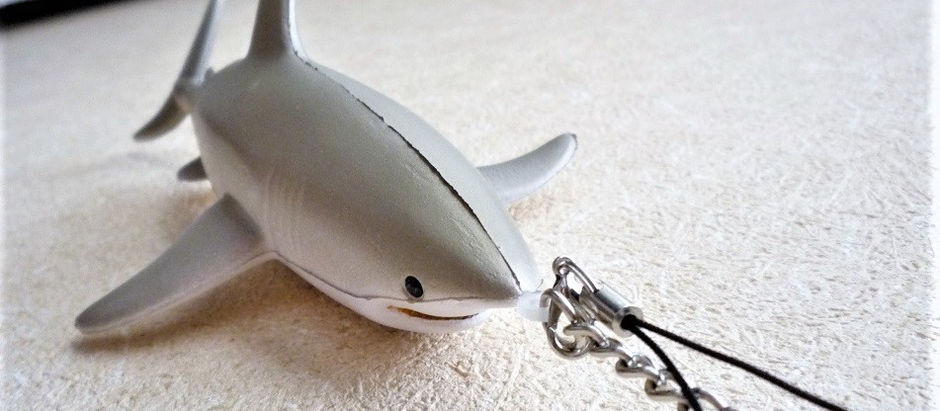 3月の鮫グッズ2018