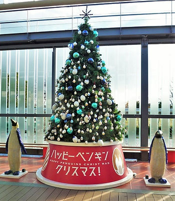 京都水族館のペンギン・ツリー2015