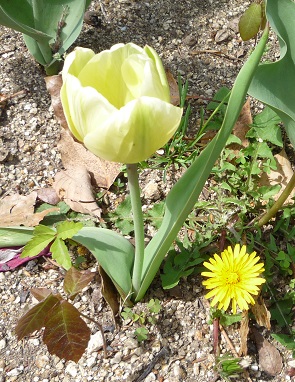 P1230929