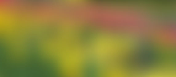 春の花々2018(鶴見緑地&布引ハーブ園)