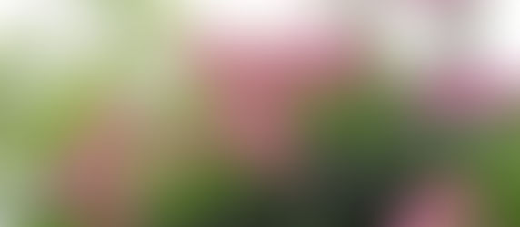 大阪地震から10日