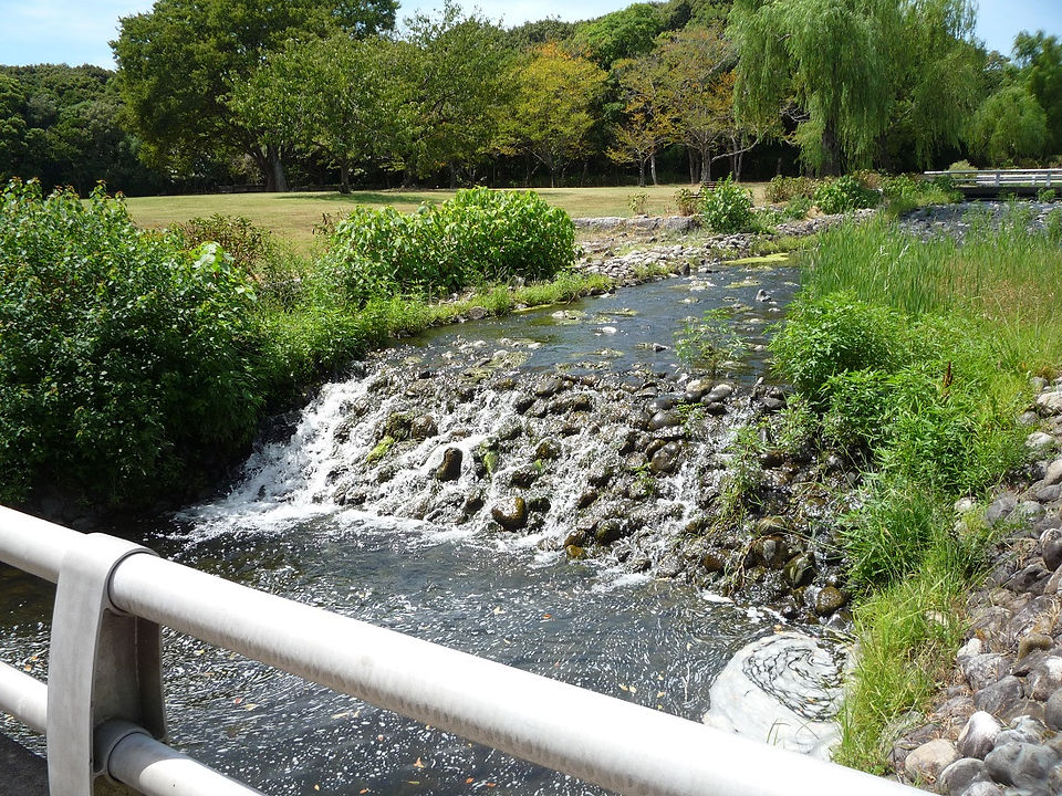 万博記念公園の風景