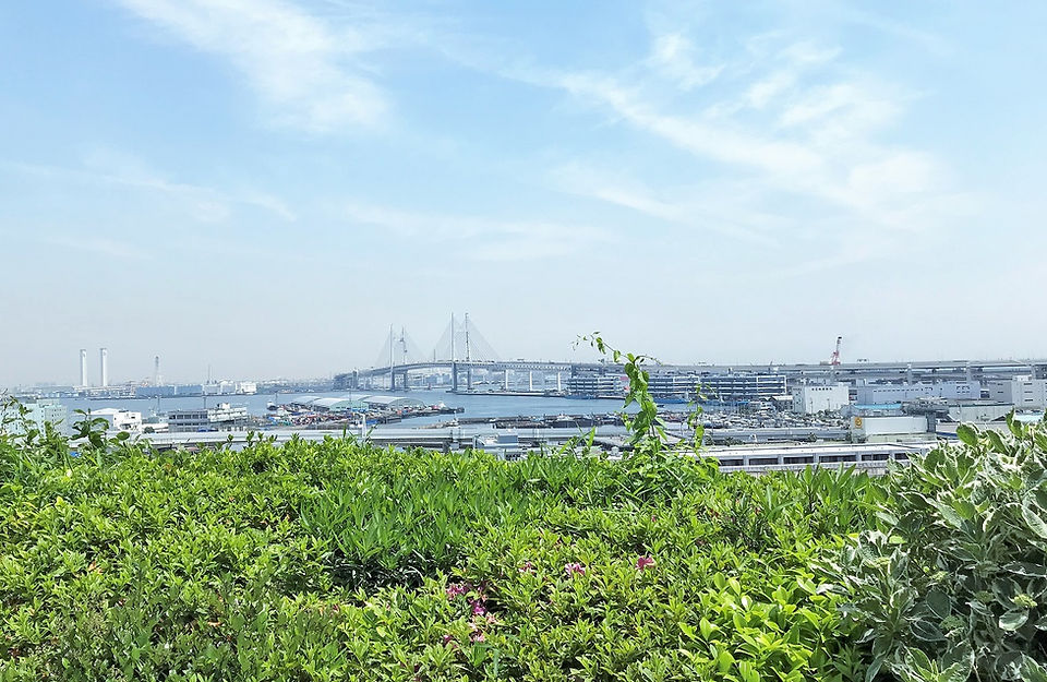 港の見える丘公園からの眺め