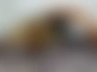 鳥羽水族館　⑤ザリガニその他～生き物色々編