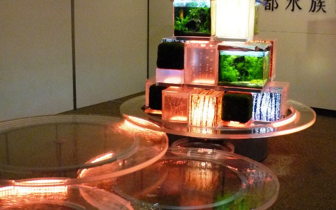 クリスマスphotos