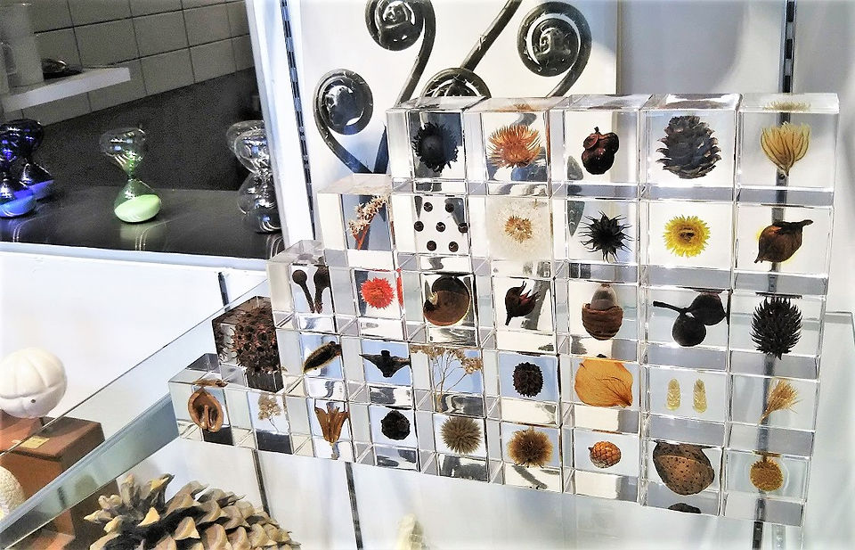 ウサギノネドコ京都店カフェ内観
