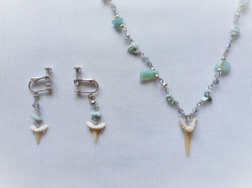 サメの歯イアリングとネックレス
