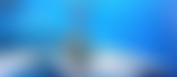 2月の鮫グッズ(2018)