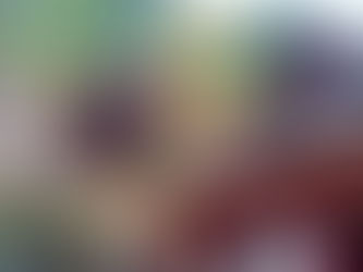 談山神社 ～紅葉狩り