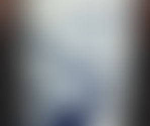 8月の鮫グッズ 2017