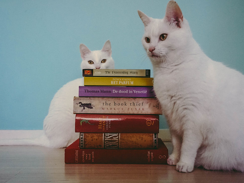 Duitse boeken