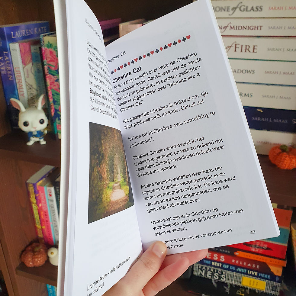 Thumbnail: Lewis Carroll Reisgids