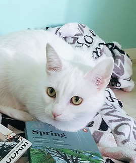 Katten Literaire Reizen