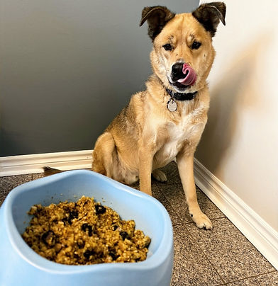 pic of remi eating while licking lips_edited_edited_edited_edited_edited.jpg