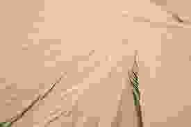slipperyslope.jpeg
