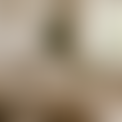 Neutral interiors living room with green plants and ceramic vases