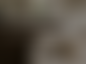 neutral living room with dark wood and black accent accessories. Minimal and neutral interiors