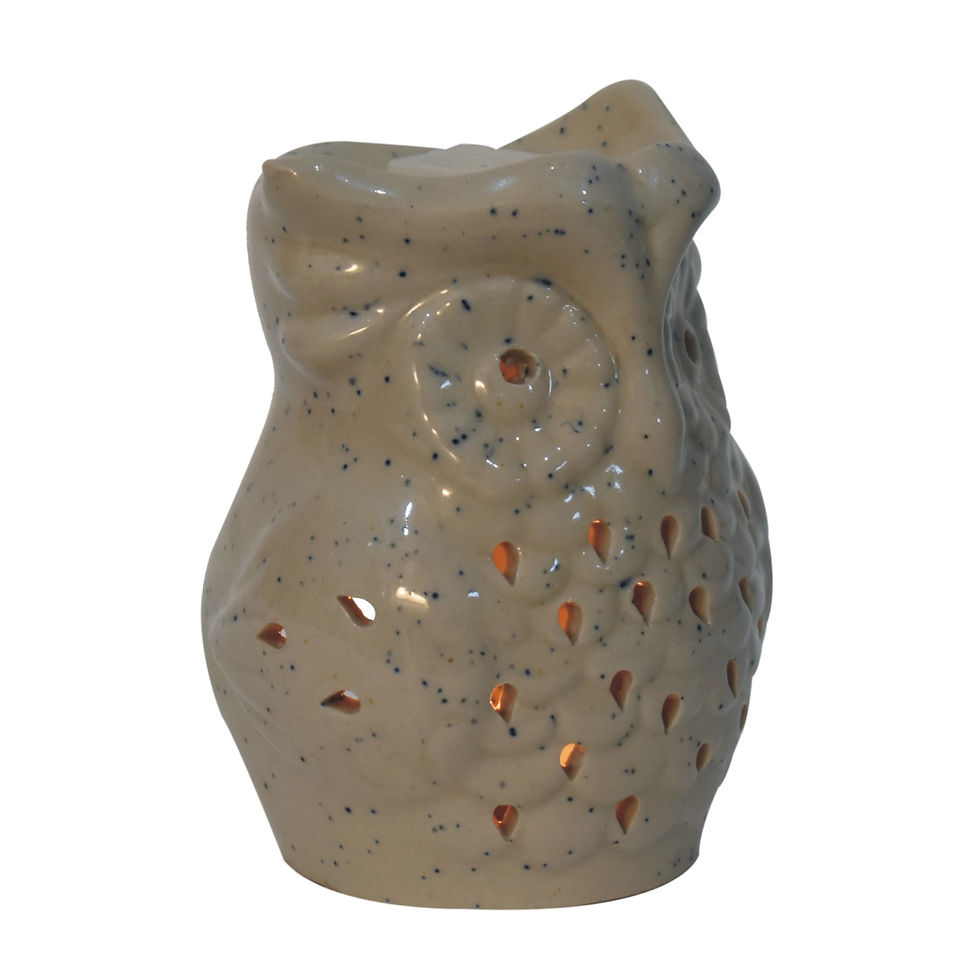 Thumbnail: Owl Wax Melter Set (Fruit)