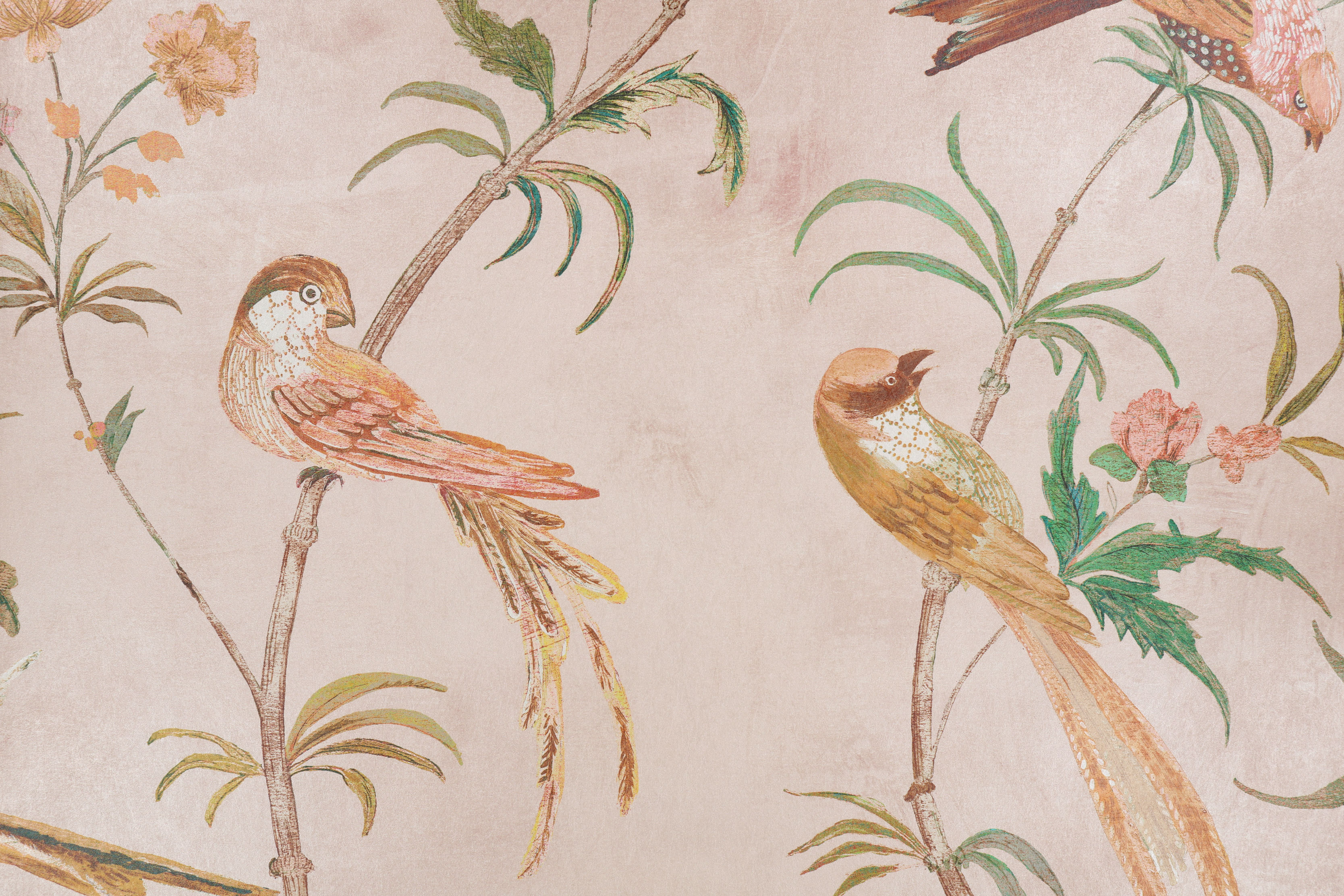 blush Pluma Wallcovering Romo