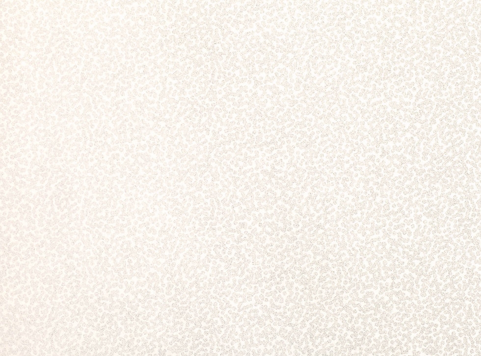 Tilla Wallcovering Whitewash - Lomasi Collection by Romo