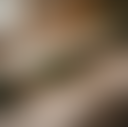 christmas tableware decor