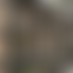 Lynne kelly interiors browsing at autumn fair nec for products hill interiors