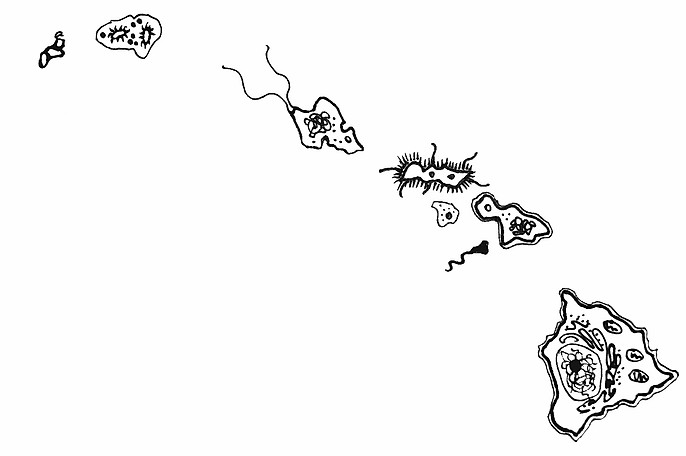 42193647_548631618928693_417108154132725